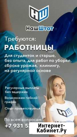 Уборка, клининг, сбор урожаев Севастополь - изображение 1