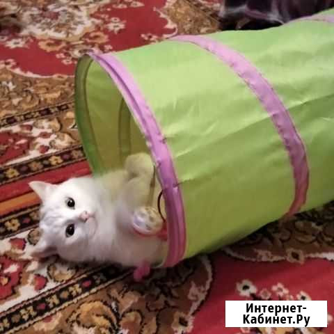 Фунтик Екатеринбург - изображение 1
