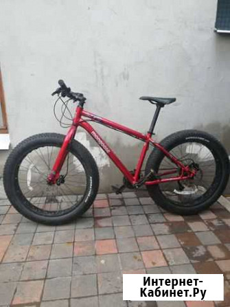 Mongoose argus, M Рязань - изображение 1
