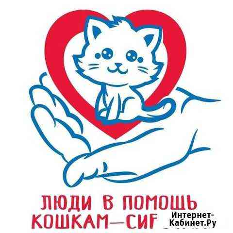 Нужна помощь кормом Волхов