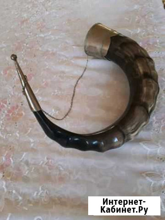 Рог Нальчик - изображение 1