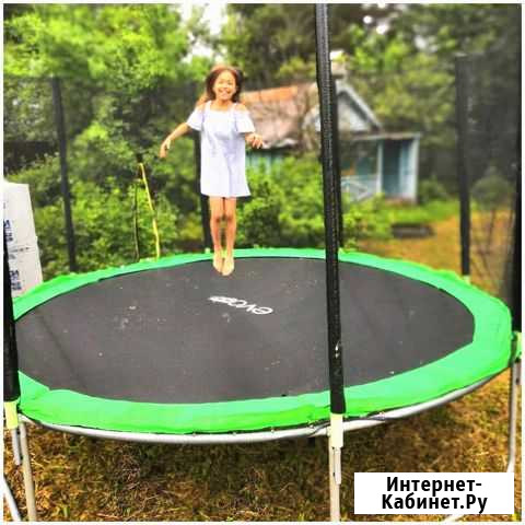 Батут с сеткой Новошахтинск - изображение 1