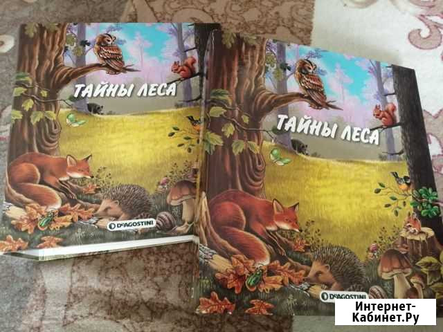 Детская энциклопедия Новокузнецк - изображение 1