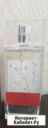 Арман Баси Ставрополь