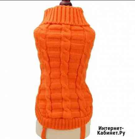 Одежда для маленькой собачки Саратов