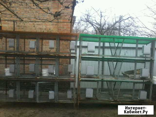 Клетки для кроликов шедовые Батайск - изображение 1