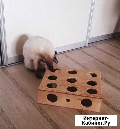 Игрушка для кошек и котов Комсомольск-на-Амуре - изображение 1