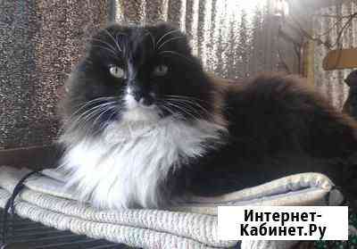Пирс ждёт хозяина Благовещенск