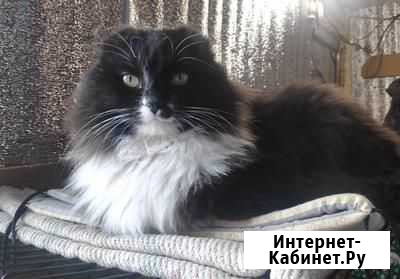 Пирс ждёт хозяина Благовещенск - изображение 1