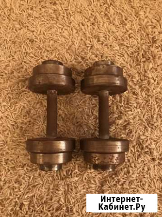 Гантели Воронеж - изображение 1