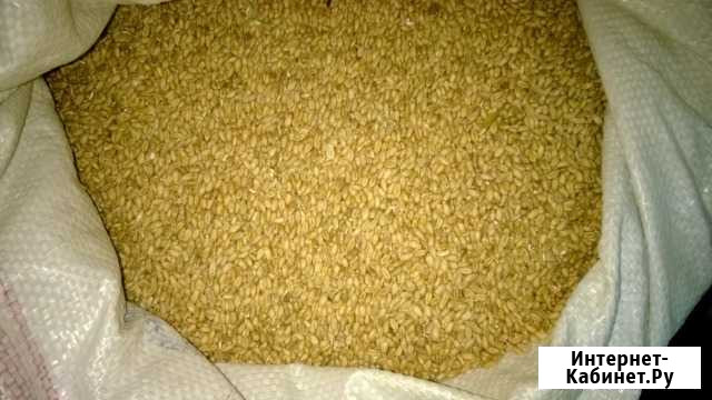 Корма Ковров - изображение 1