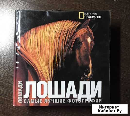 Лошади самые лучшие фотографии Воронеж - изображение 1