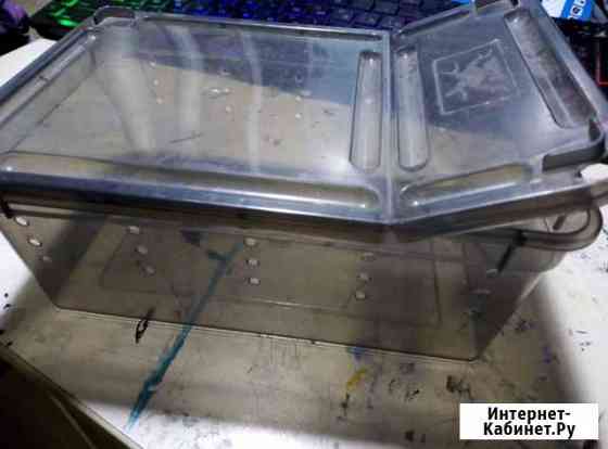 Контейнер для насекомых Красноярск