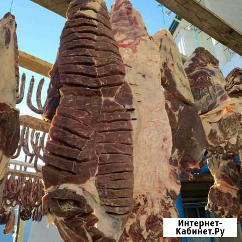 Мясо и колбаса по 650 кг Анди - изображение 1