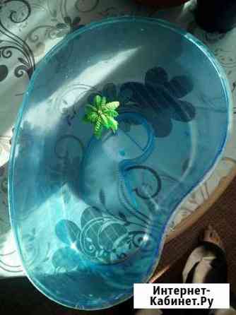 Террариум Благовещенск