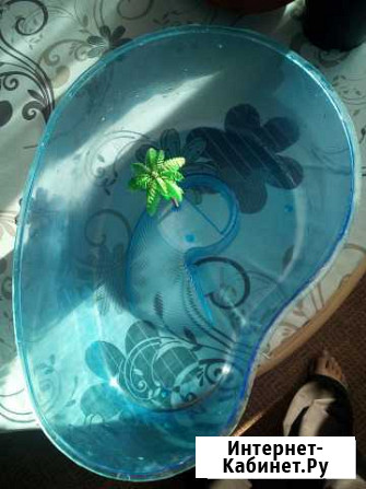 Террариум Благовещенск - изображение 1