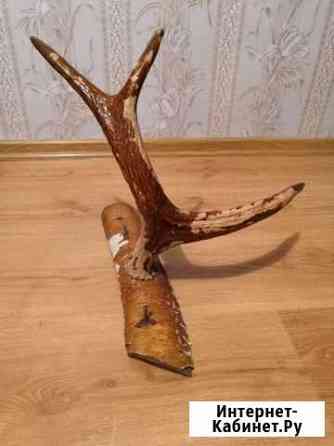 Рога лося Киров