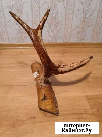 Рога лося Киров - изображение 1