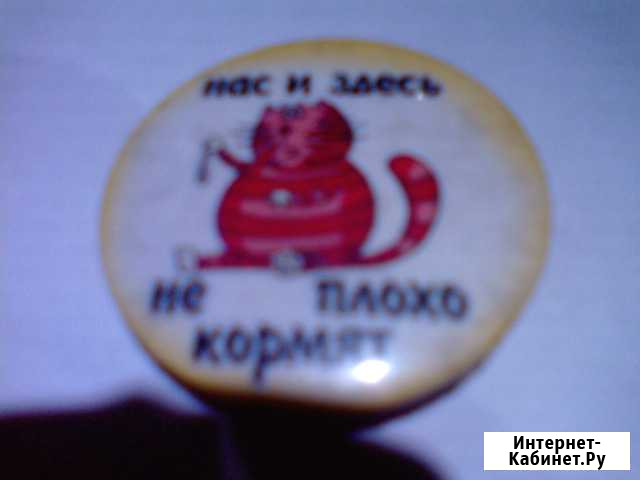 Значки Великие Луки - изображение 1