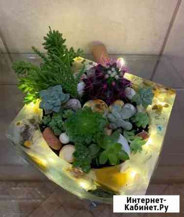 Флорариумы Тула