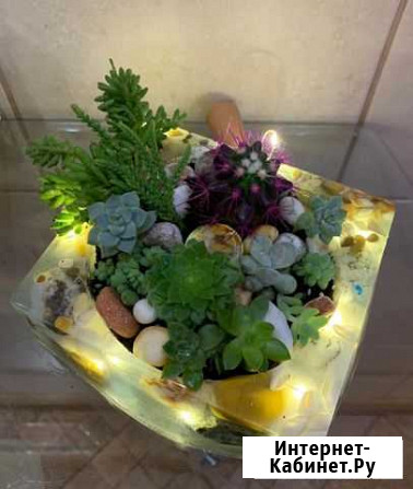 Флорариумы Тула - изображение 1