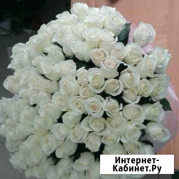Белые розы 31 роза 51 роза Доставка Сочи - изображение 1