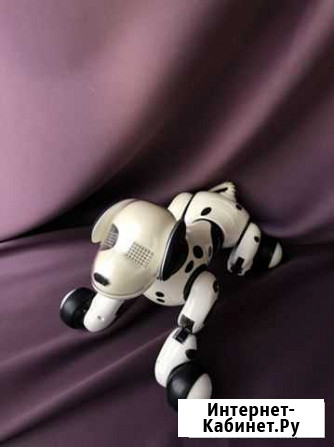 Робот собака Псков - изображение 1