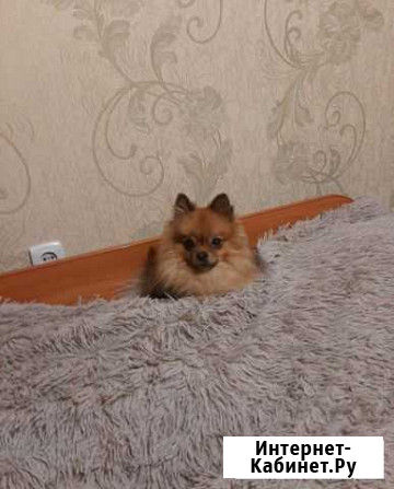 Ищет невесту Нижнекамск - изображение 1