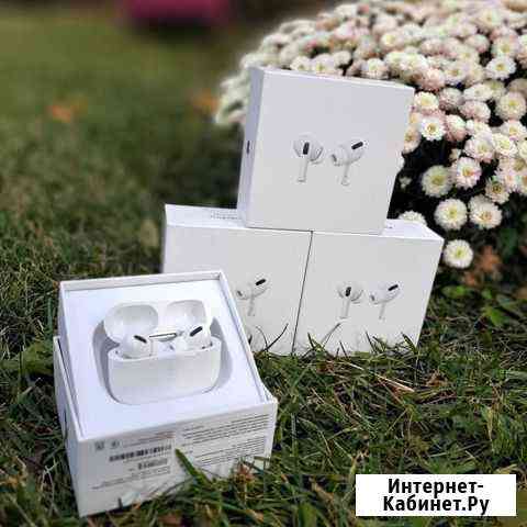 AirPods Pro + чехол Петропавловск-Камчатский