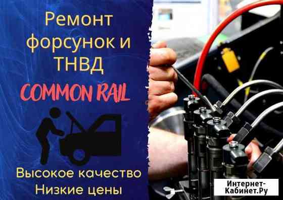Ремонт форсунок и тнвд common rail Мурманск