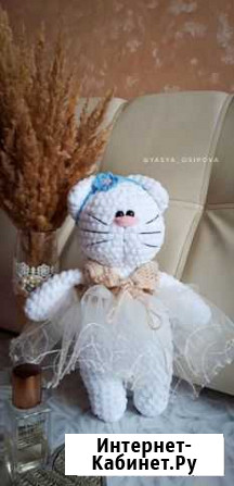 Кошка Миледи Брянск - изображение 1