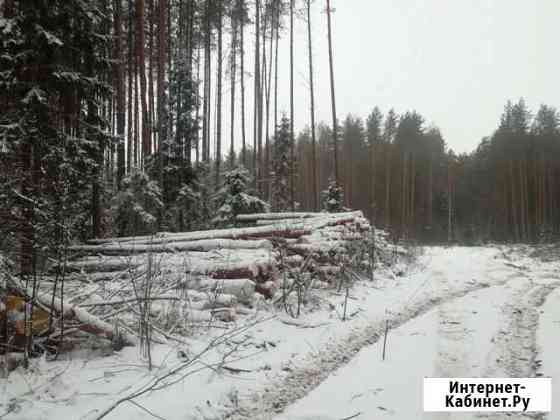 Отборный лес кругляк Ярославль
