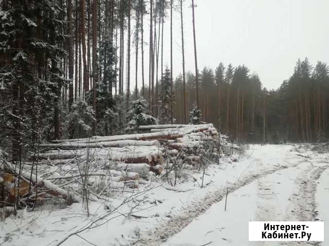 Отборный лес кругляк Ярославль - изображение 1
