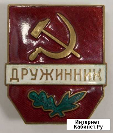 Знак Дружинник. Оригинал Курган - изображение 1