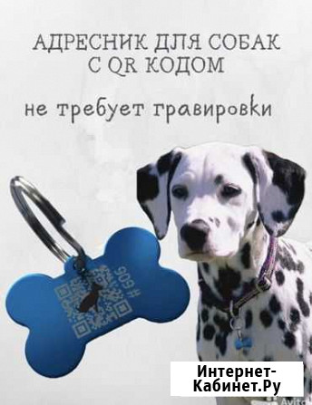 Адресник для собак qr Новороссийск - изображение 1