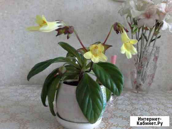 Хирита Тольятти