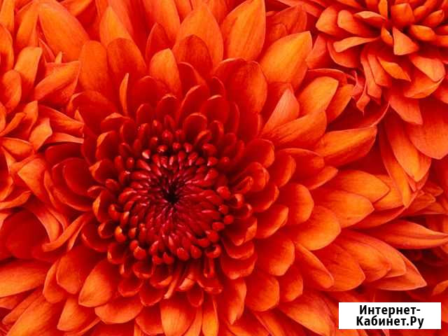 Мотор на стиральную машину Ariston, Indesit Курск - изображение 1