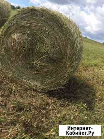 Сено в тюках 250, 300кг Новокузнецк