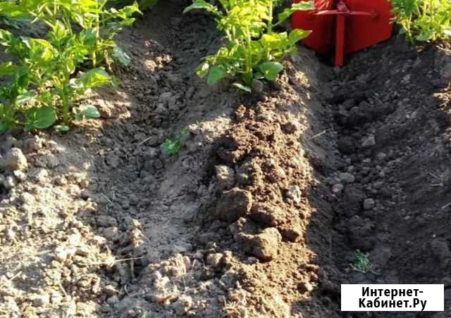 Плодородный грунт отличного качества с доставкой Руза - изображение 1