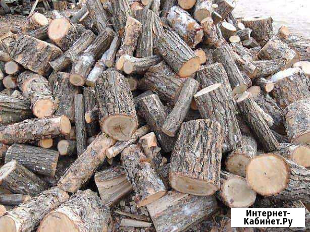 Дрова дубовые Бузулук - изображение 1