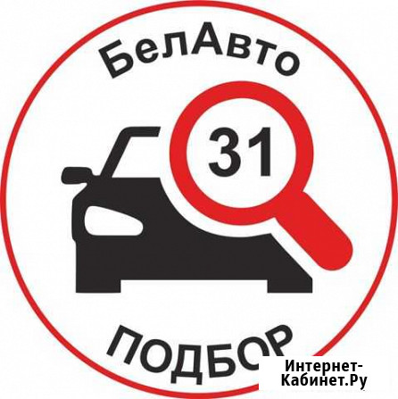 Проверка авто перед покупкой/автоподбор под ключ Белгород - изображение 1