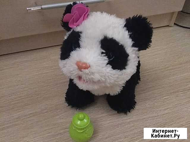 Панда интерактивная furreal friends от hasbro Кострома - изображение 1