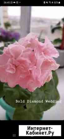 Bold Diamond Wedding Челябинск