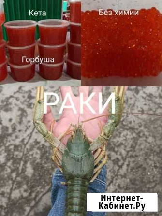 Живые раки, красная икра без добавления химии Тольятти - изображение 1
