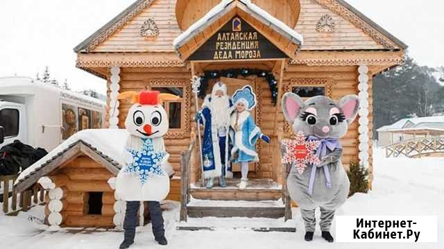 В гости к Деду Морозу Барнаул - изображение 1