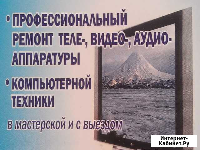 Профессиональный ремонт телевизоров Петропавловск-Камчатский - изображение 1