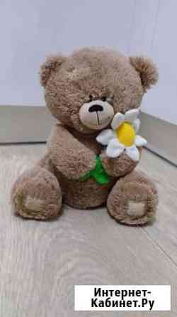 Плюшевый медведь, игрушки Кострома