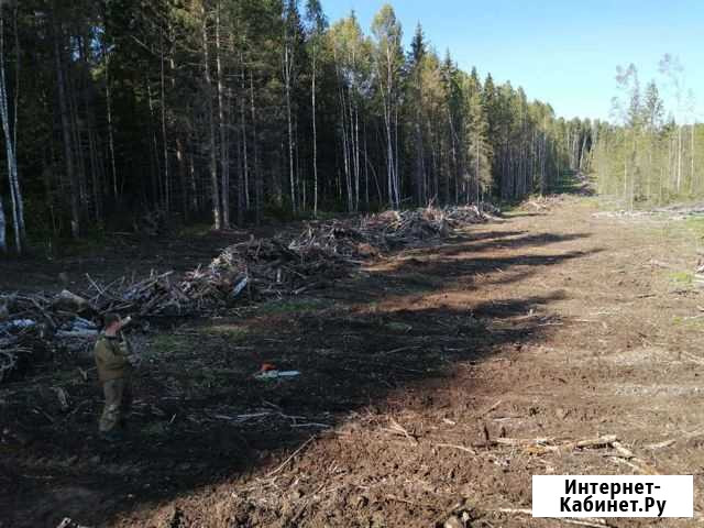 Бригада по заготовке леса Большое Село - изображение 1