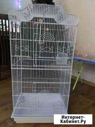 Клетка для попугая Тольятти