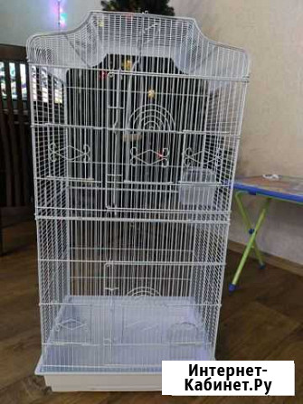 Клетка для попугая Тольятти - изображение 1